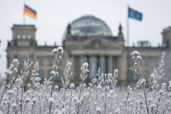 Warum verschiebt sich das Vorziehen von Pflanzen bis Februar?