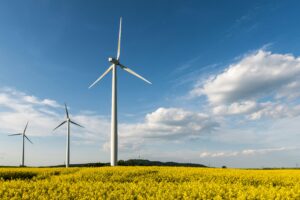 Ökostrom im Check: Warum immer mehr Haushalte zu Grünwelt Energie wechseln